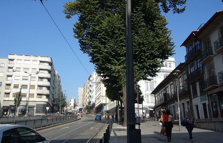 Ceuta Inn Porto Exteriér fotografie